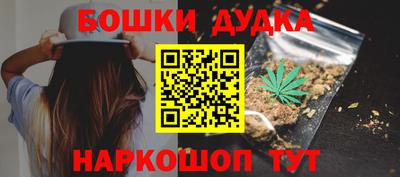 крисы Моздок