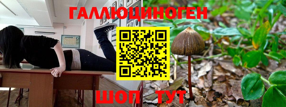 Саранск  Галлюциногенные грибы ЛСД  как найти наркотики  Псилоцибиновые грибы ЛСД  Вход с VPN 