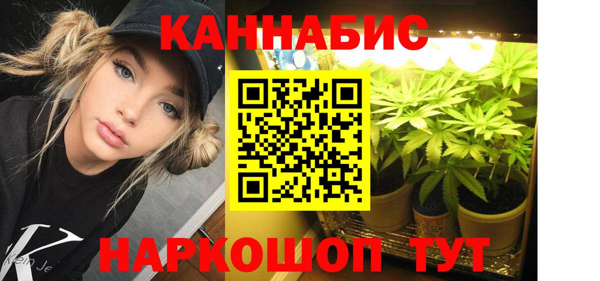 МАРИХУАНА план  Бошки марихуана Bruce Banner  Саранск  Бошки Шишки OG Kush  Вход с VPN 